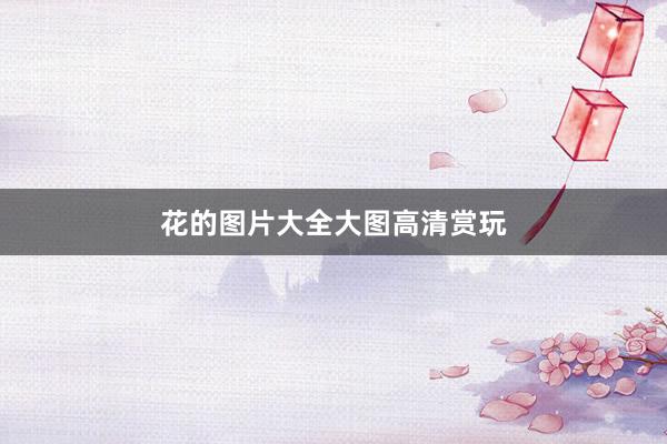 花的图片大全大图高清赏玩