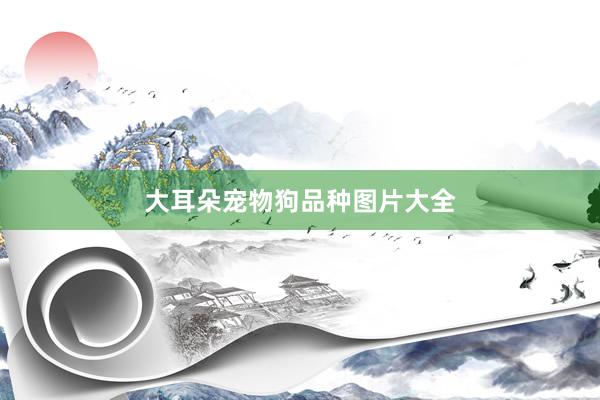 大耳朵宠物狗品种图片大全