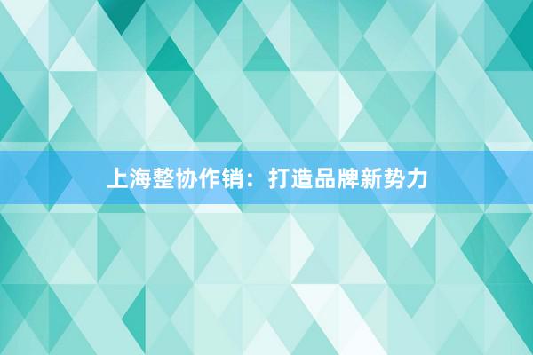 上海整协作销：打造品牌新势力